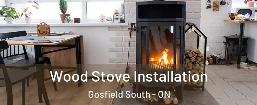  Wood Stove Installation Gosfield South - ON